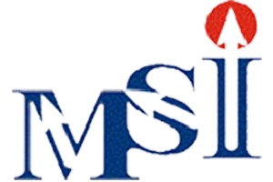 MSI LOGO